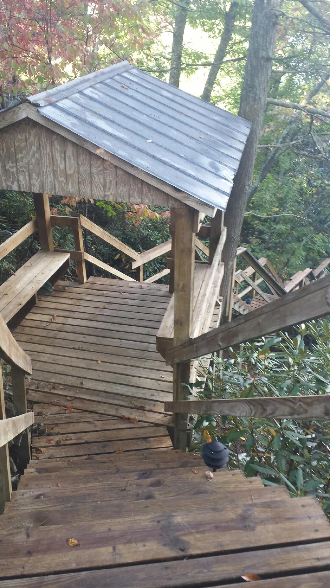 Metal roofed shelter over wooden steps on a wooded walkway — Skylight Repair & Installation work by our crew in Dupo