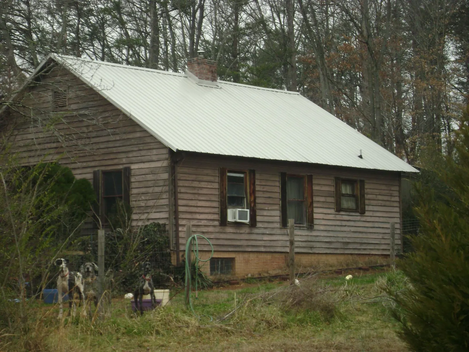 White metal roof on an old wood sided farmhouse, from a Asphalt Shingle Roof Repair job in Dupo
